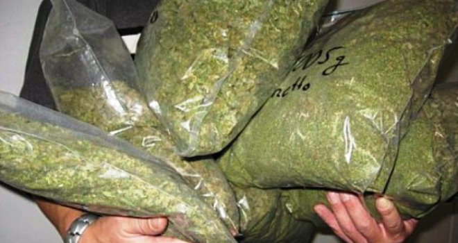 Kod Olova zaplijenjeno 8,5 kg marihuane