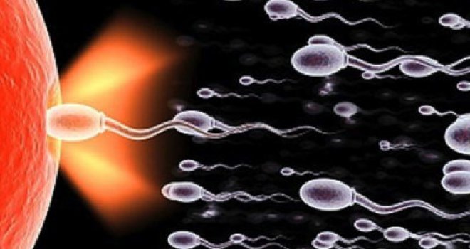 Ove stvari bi svaka žena trebala znati o spermi: Seks u kadi, 'gutanje' i slično i nisu najbolji izbor