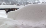 Snijeg iz perspektive čitalaca DEPO Portala