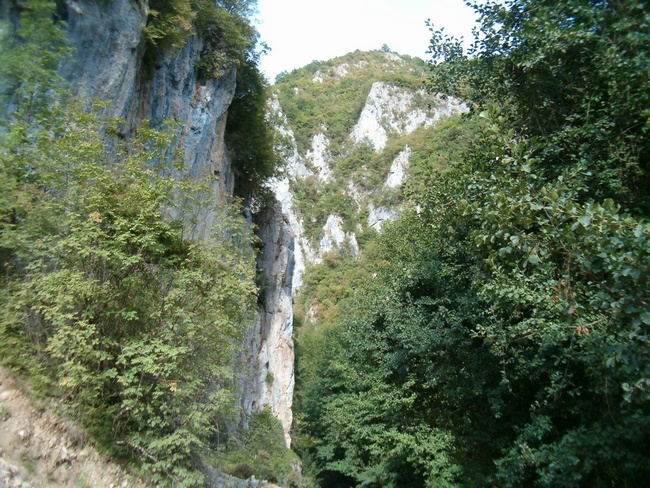 Kanjon Sutjeske