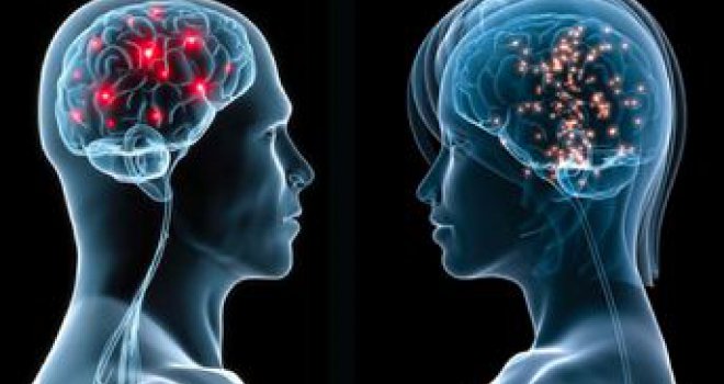 Neurolozi užasnuti: Evo kako čak i umjereni stres mijenja mozak i na što vas tjera