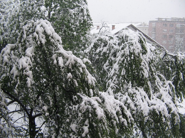 http://depo.ba/media/pictures/2012/05/14/ecf77c8dc90eab183e4c40d6e7b9cda4.jpg