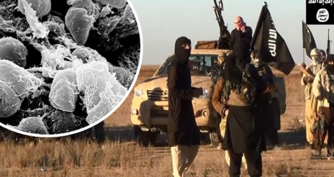 Nevjernike žele zaraziti kugom: Džihadisti svijet kane napasti biološkim oružjem