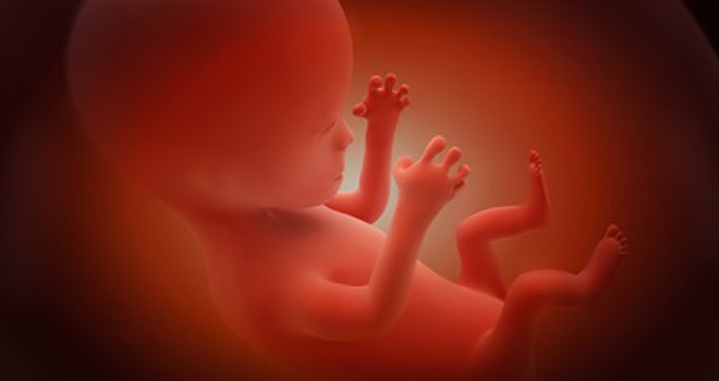 Ubistvo, grijeh ili pravo na lični izbor: Koji je vaš stav o abortusu?