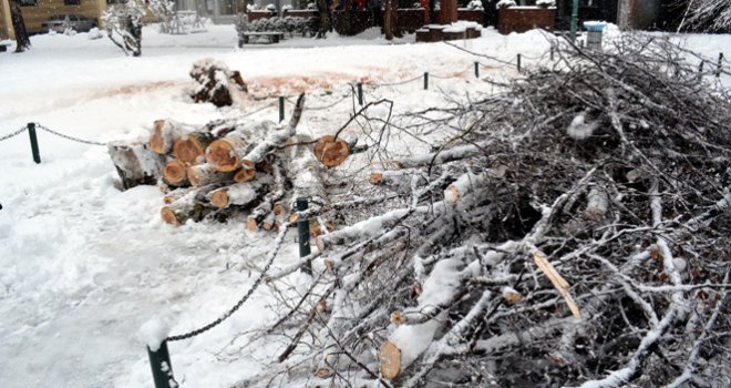Snijeg oborio drveće u centru Sarajeva