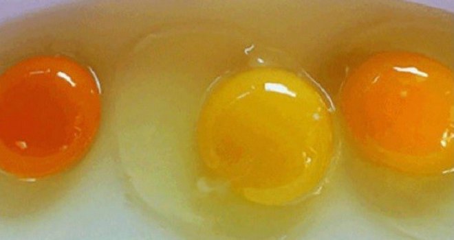 Evo šta se tačno dešava u vašem organizmu kad za doručak pojedete jaja