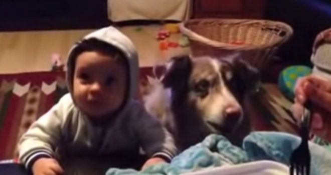 Učili bebu da kaže 'mama', a onda je pas učinio nešto što će vas potpuno zapanjiti