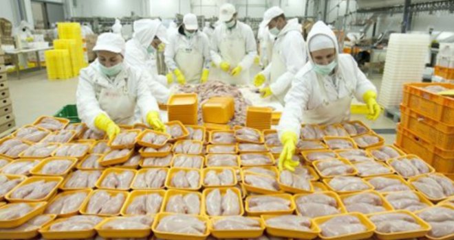 Stopiran uvoz više od 100 tona mesa: Zadnji užas od piletine trebao je da završi na našim stolovima...