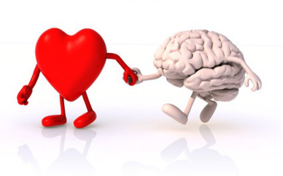 razum-srce-emocionalna-inteligencija-mozak