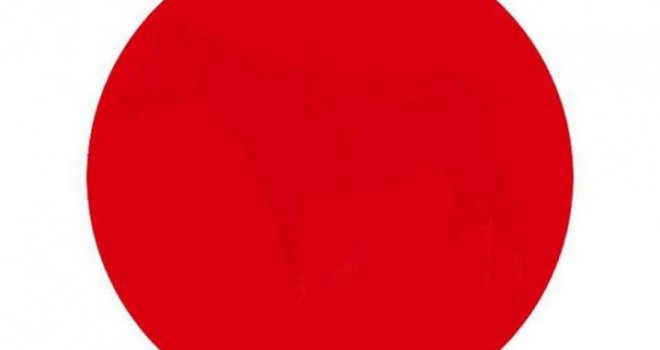Testirajte svoj vid u par sekundi: Šta vidite u crvenom krugu?