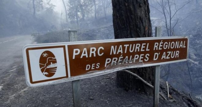 Vatra bjesni i u Francuskoj: U šumskim požarima povrijeđeno 19 ljudi