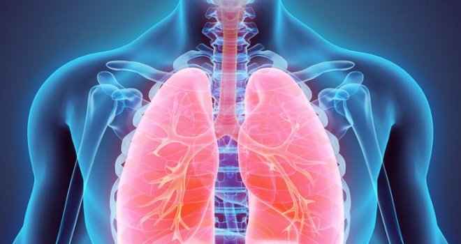 Eliminirajte konačno toksine iz pluća i jetre: Ovo su najjači 'čistači' koje morate konzumirati!