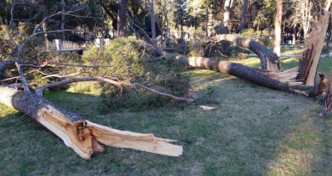 U Trebinju udari olujnog vjetra i do 92 kilometra na sat, upozorenje građanima da ne napuštaju objekte