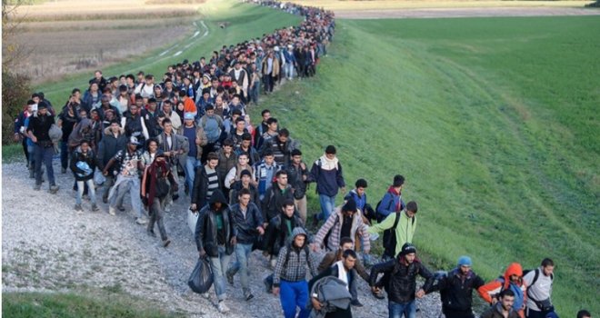 Spriječeno krijumčarenje 29 migranata, privedena sedmorica državljana BiH