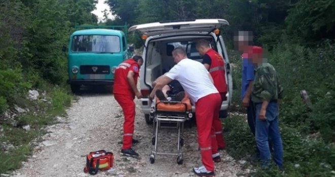 Drama u Hercegovini: Ženu ugrizla šarka, a nakon toga nagazila na poskoka!