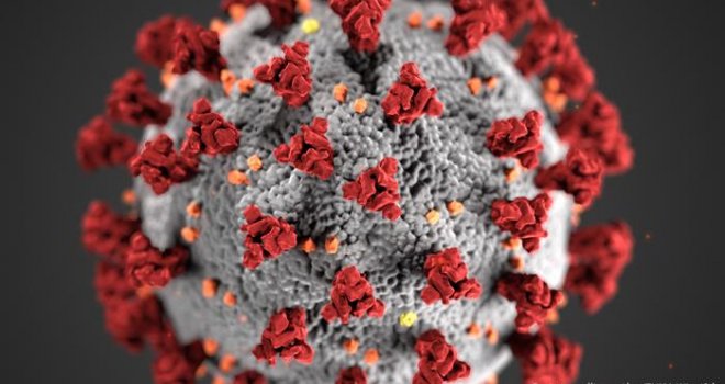 Naučnici u Južnoj Africi otkrili novu varijantu virusa Covid-19: Ima višestruke mutacije, širi nove zaraze