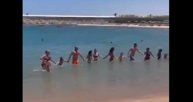 Užičkim kolom protiv ajkula: Nakon Neuma, turisti zaigrali i u Hurghadi