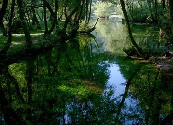 vrelo bosne