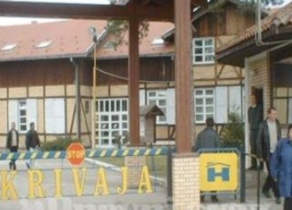 Krivaja