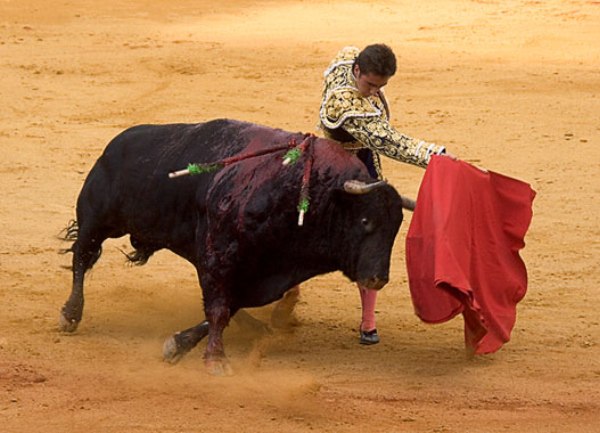 Borba sa bikovima