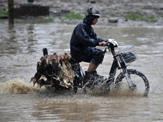 Poplave u Kini
