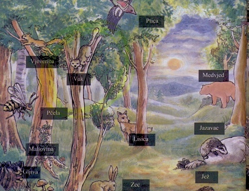 vuk na drvetu