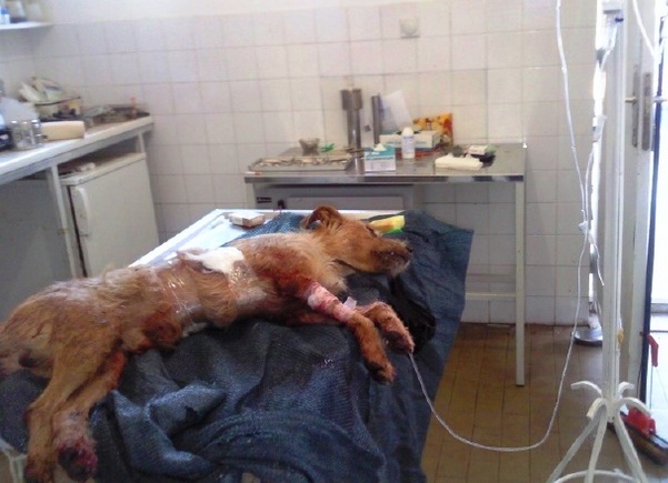 cuko ranjen2 cuko ranjen2