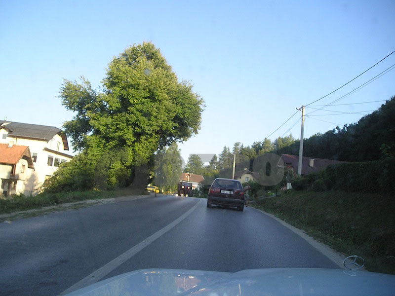 dijete u golfu2 dijete u golfu2