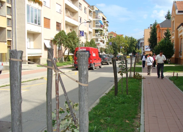 polomljene sadnice u centru Banjaluke polomljene sadnice u centru Banjaluke