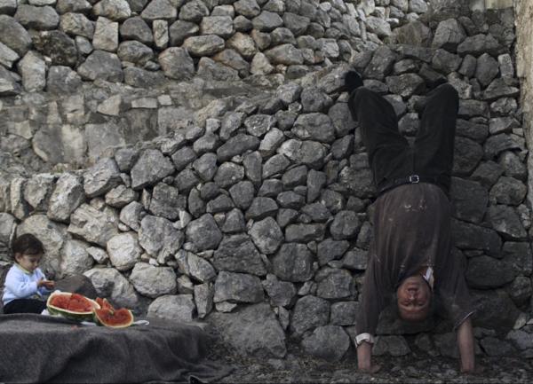 jasmina nedzad begovic