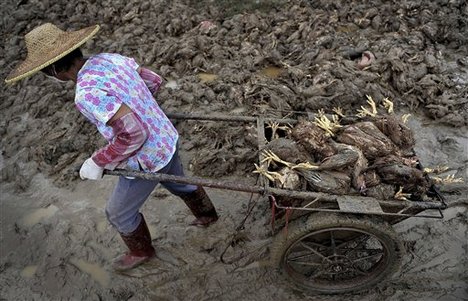 Kina nakon tajfuna Fanapi