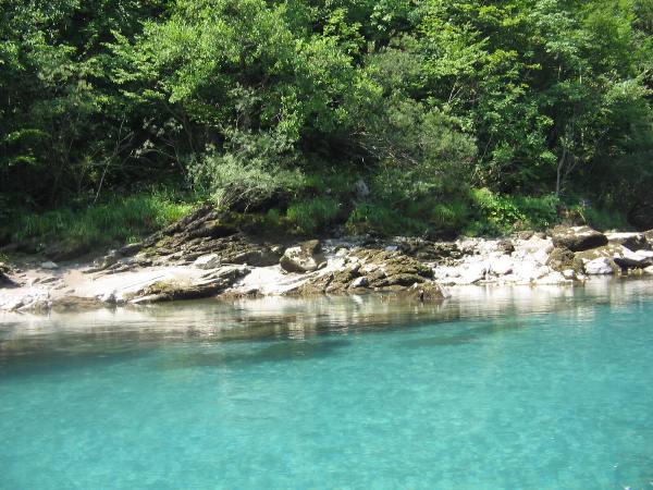 Drina