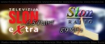 RTV Slon