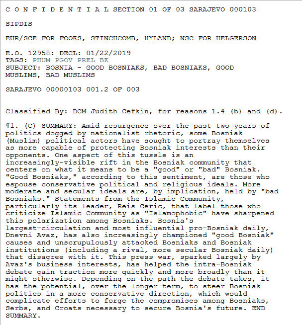 Wikileaks Bosnian
