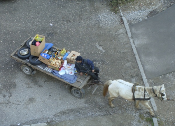 Kopanje po kontejnerima i konjska kola / foto: BLIN