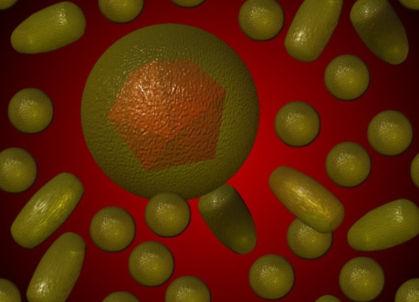 Hepatitis B