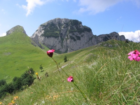 zelengora