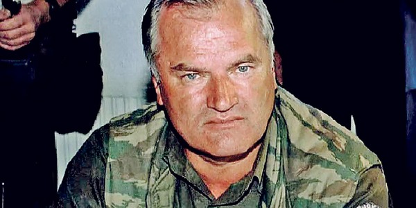 novimladic2