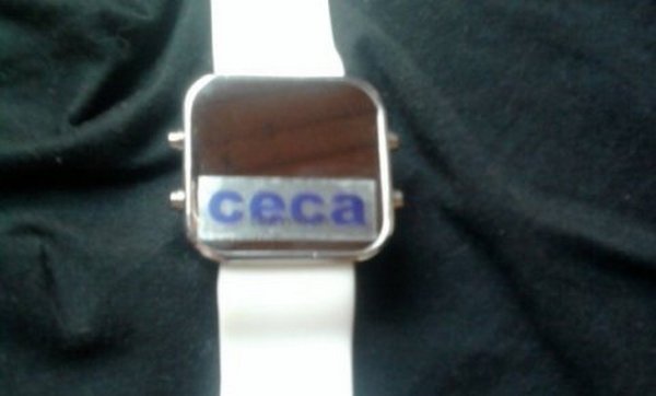 ceca iza rešetaka