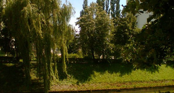 vilsonovo setaliste