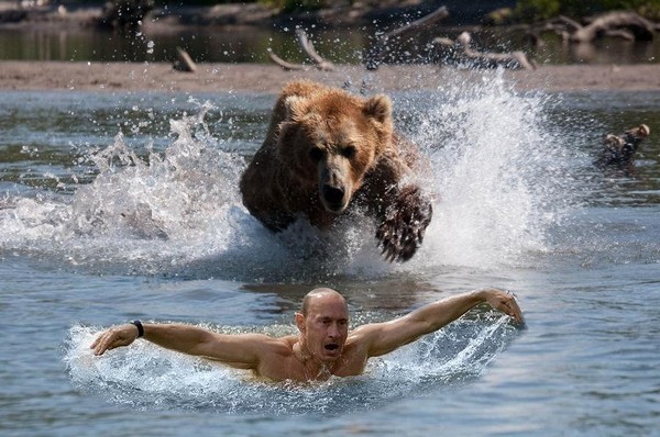 putin i medvjed