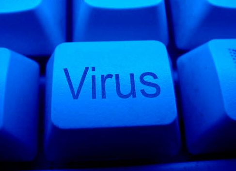 virus