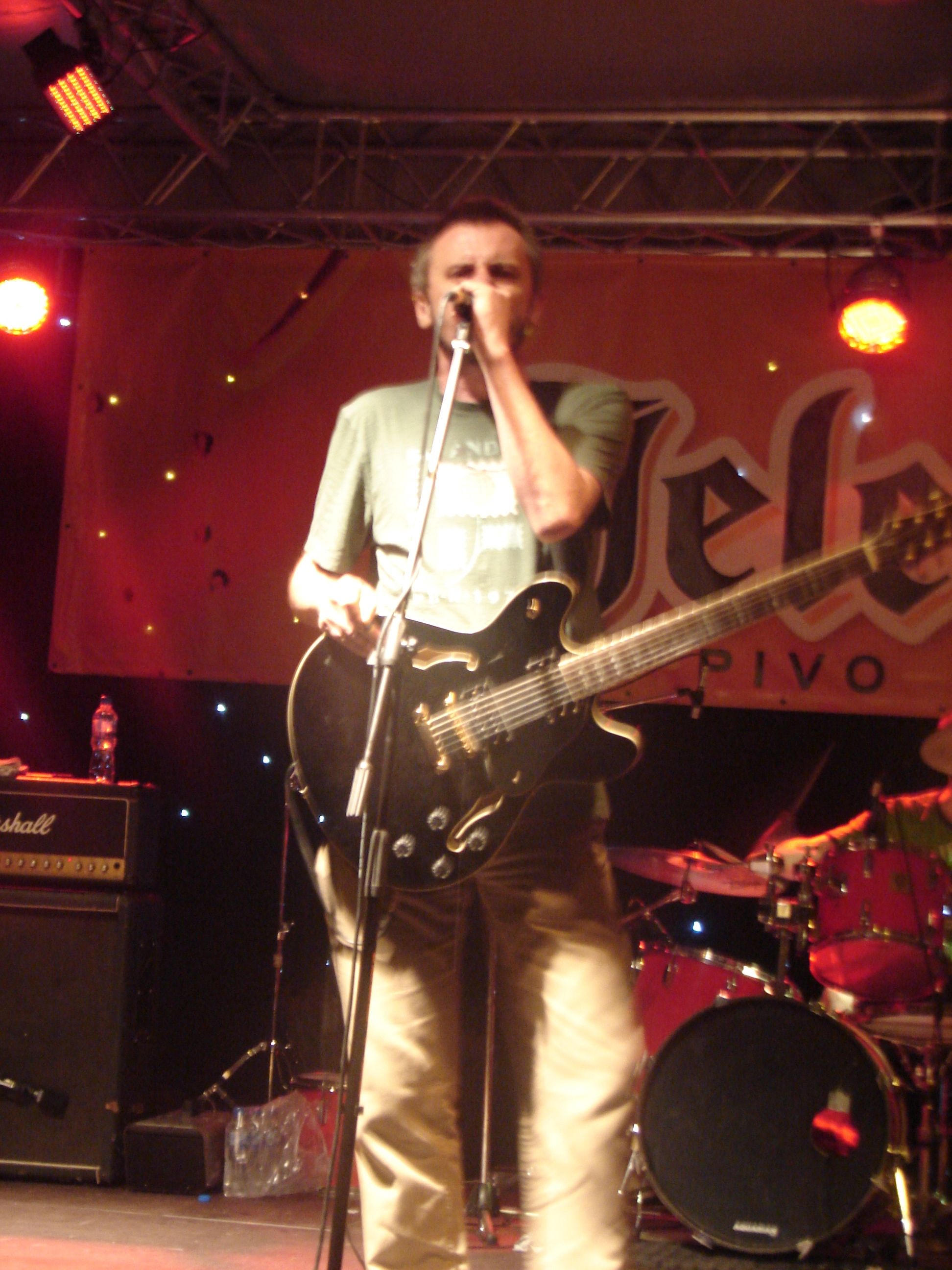 bijeljina summer fest 1