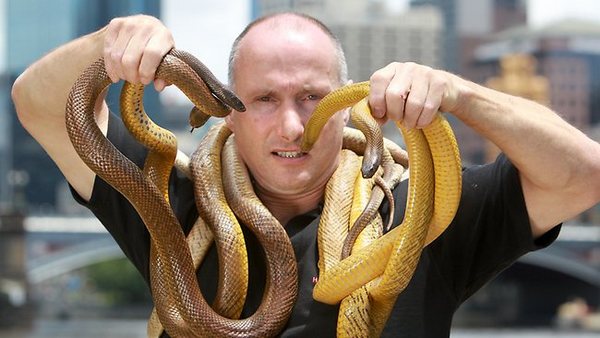 raymond snakehandler