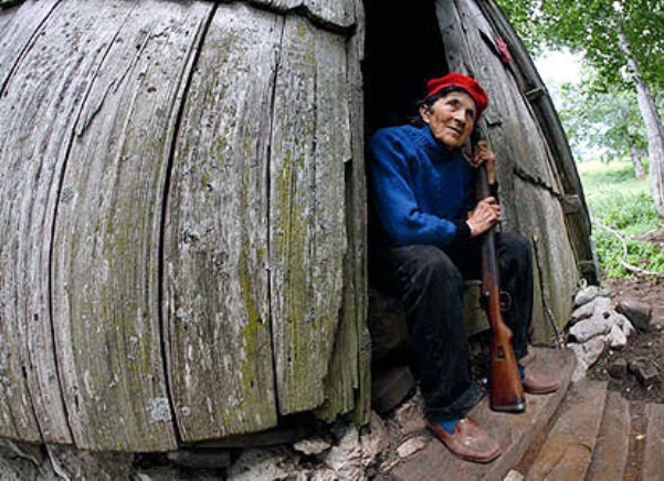 virdzina3