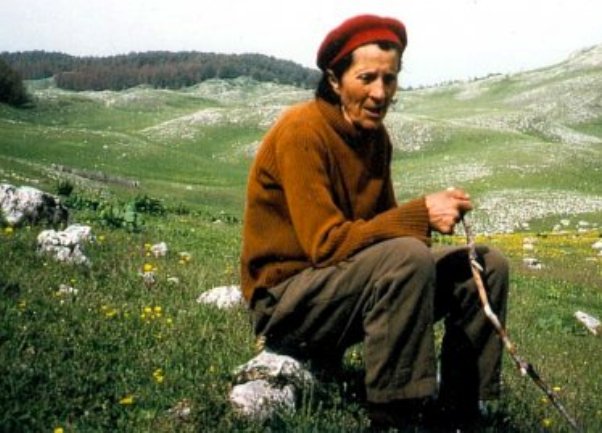virdzina