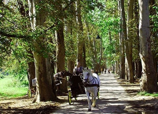 aleja vrelo bosne