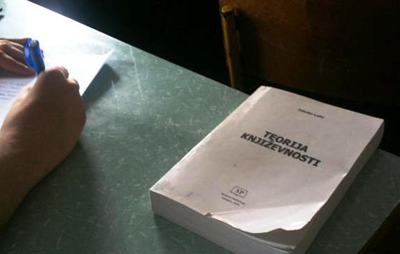 teorija književnosti