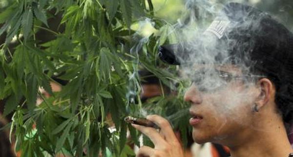 ganja