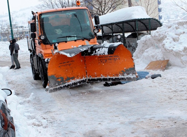 Grtalica usmrtila ženu, FOTO: DEPO Portal